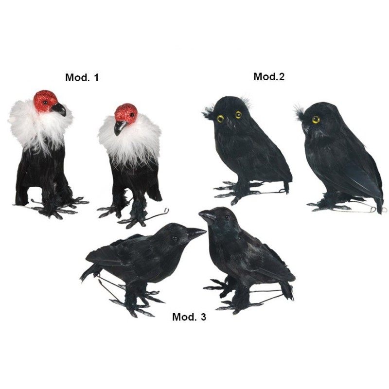 pajaro MOD1