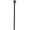 Baston brujo garra desmontable 78 cms