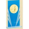 Trofeo azul porta discos