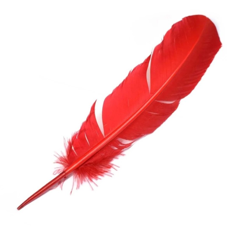 Bolsa 6 plumas rojas