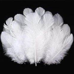 Bolsa 12 plumas