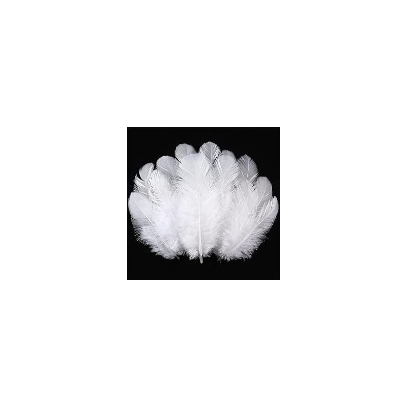 Bolsa 12 plumas