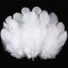 Bolsa 12 plumas