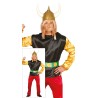 Disfraz hombre de Asterix