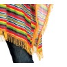 Disfraz hombre poncho mexicano