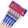 Cohete voyager (5)