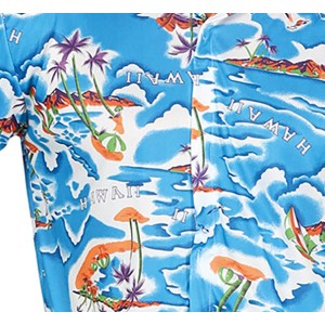 Camisa Hawaiana