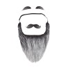 Barba larga gris con bigote y cejas