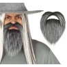 Barba y bigote gris