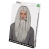 Peluca y barba gris (en caja)