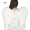 ALAS PLUMAS BLANCAS 60X45 CMS