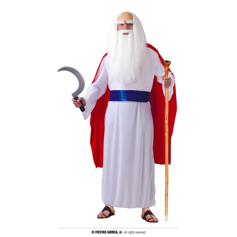 Disfraz hombre druida panoramix