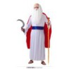 Disfraz hombre druida panoramix