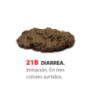 Diarrea