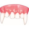 dentadura vampiro