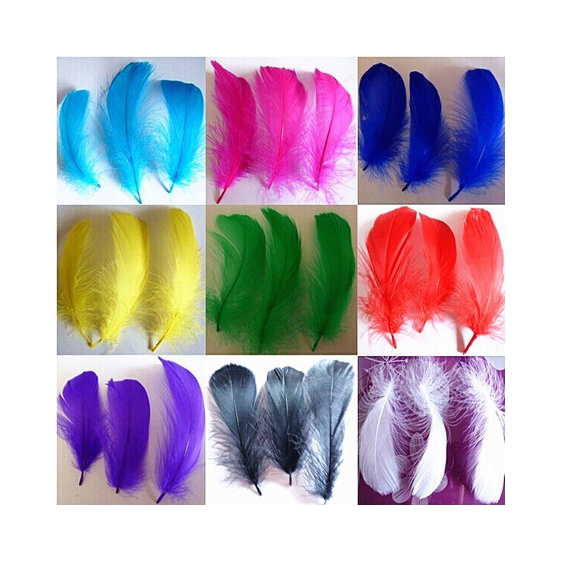 bolsa 15 plumas
