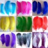 bolsa 15 plumas