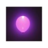 globos con luz led