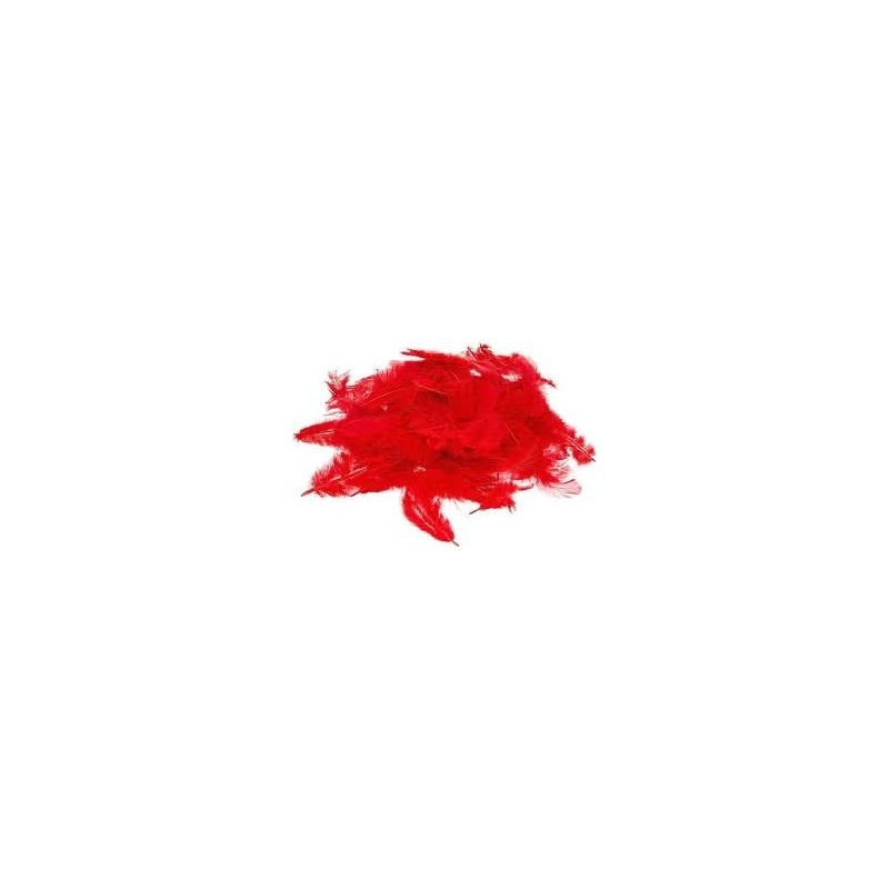 Bolsa 12 plumas
