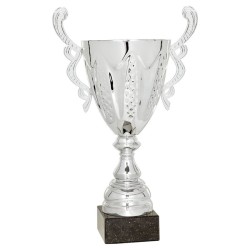 Copa trofeo 69-2203