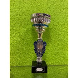 Trofeo copa plata azul