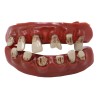 Dientes terror