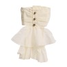 Pechera epoca steampunk