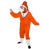 Disfraz pez naranja