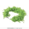 Boa Pluma 40 gr