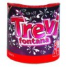 fuente trevi