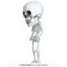 Colgante esqueleto cabezon, 15 cms