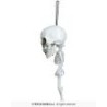 Colgante esqueleto cabezon, 15 cms