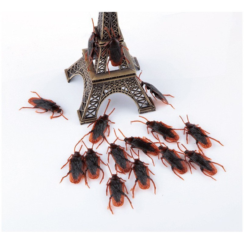 cucaracha