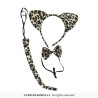Conjunto de leopardo