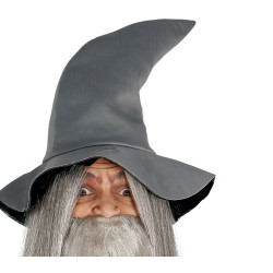 Disfraz hombre mago gris