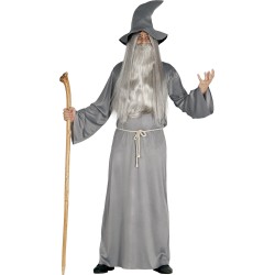 Disfraz hombre mago gris