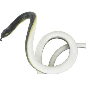 Serpiente 80 cms con hilo de nilon y pinza, adulto