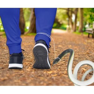 Serpiente 80 cms con hilo de nilon y pinza, adulto
