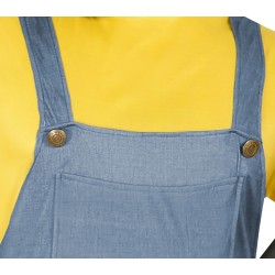 Disfraz hombre de minion