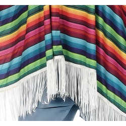 Disfraz hombre Poncho mexicano multicolor