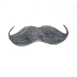 Bigote ingles gris