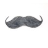 Bigote ingles gris