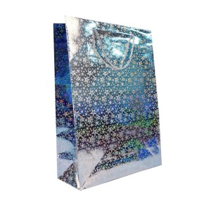 Bolsa holografica