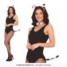 Set dalmata, adulto
