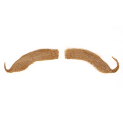 Bigote bavaro