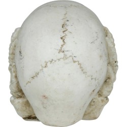 Calavera De Resina De 6 Cm