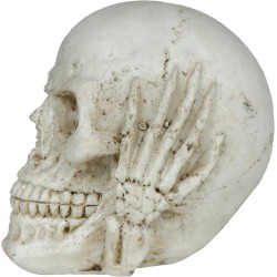 Calavera De Resina De 6 Cm