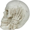 Calavera De Resina De 6 Cm