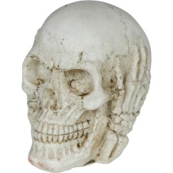 Calavera De Resina De 6 Cm