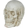 Calavera De Resina De 6 Cm